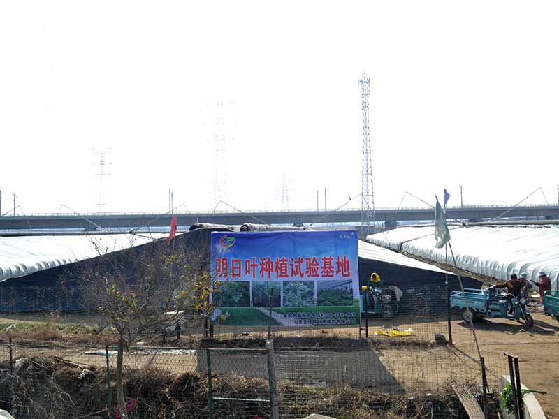 種植基地